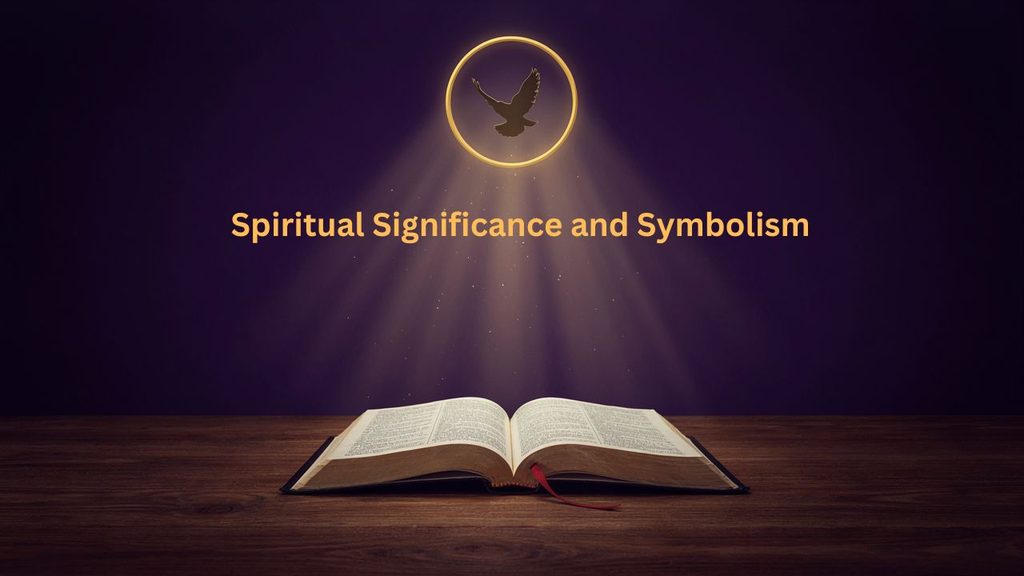 Spiritual significance and symbolism represented through a Bible, cross, and light